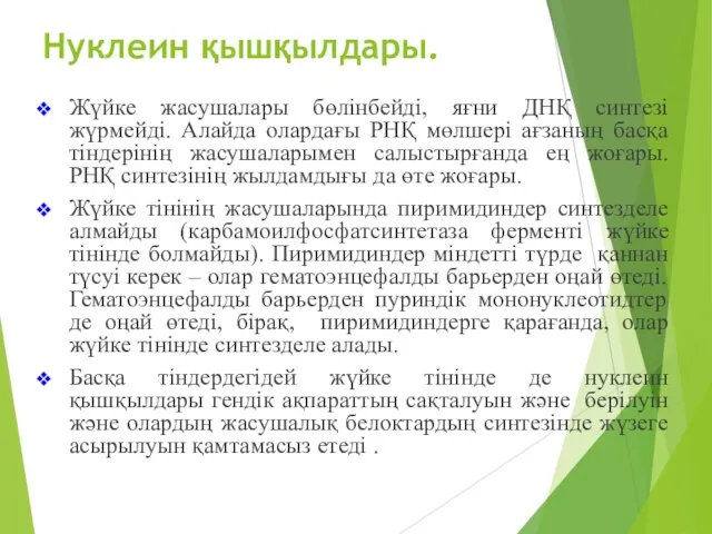 Нуклеин қышқылдары. Жүйке жасушалары бөлінбейді, яғни ДНҚ синтезі жүрмейді. Алайда олардағы РНҚ