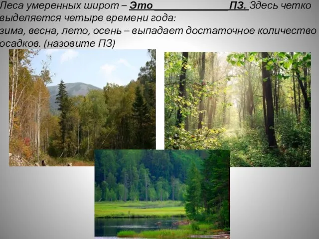 Леса умеренных широт – Это ______________ПЗ. Здесь четко выделяется четыре времени года: