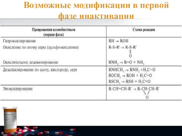 Возможные модификации в первой фазе инактивации