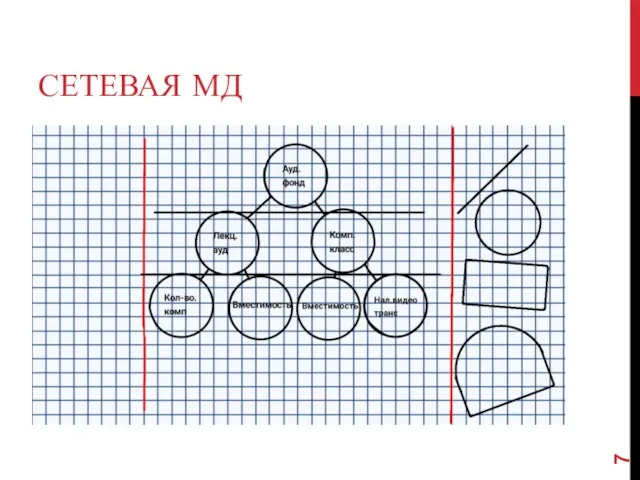 СЕТЕВАЯ МД