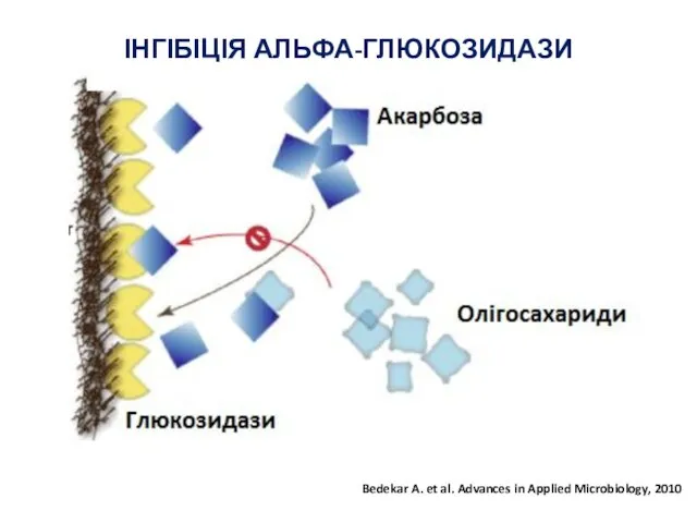 ІНГІБІЦІЯ АЛЬФА-ГЛЮКОЗИДАЗИ Bedekar A. et al. Advances in Applied Microbiology, 2010