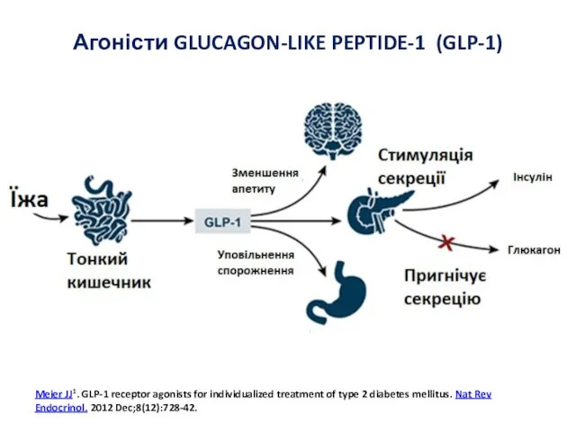 Агоністи GLUCAGON-LIKE PEPTIDE-1 (GLP-1) Meier JJ1. GLP-1 receptor agonists for individualized treatment