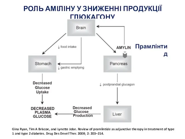 РОЛЬ АМІЛІНУ У ЗНИЖЕННІ ПРОДУКЦІЇ ГЛЮКАГОНУ Gina Ryan, Tim A Briscoe, and