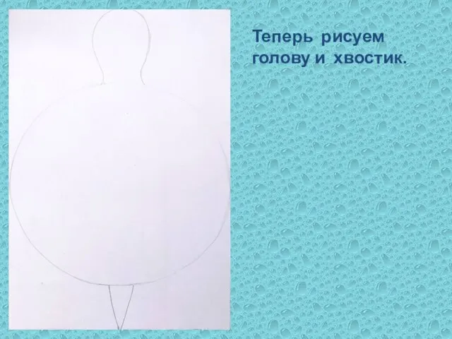 Теперь рисуем голову и хвостик.