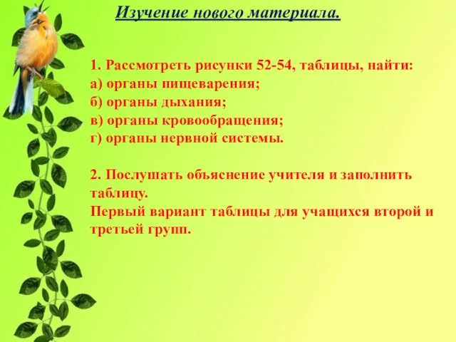 Изучение нового материала. 1. Рассмотреть рисунки 52-54, таблицы, найти: а) органы пищеварения;