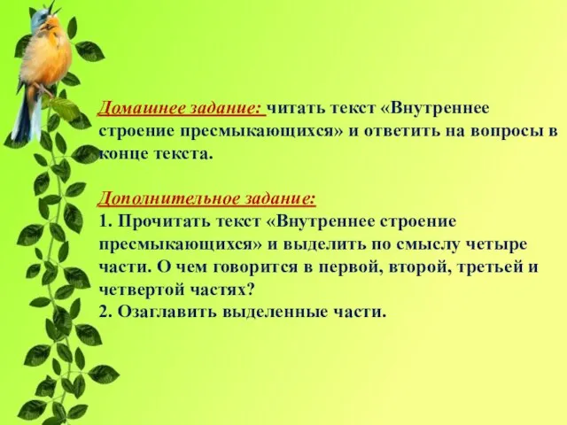 Домашнее задание: читать текст «Внутреннее строение пресмыкающихся» и ответить на вопросы в