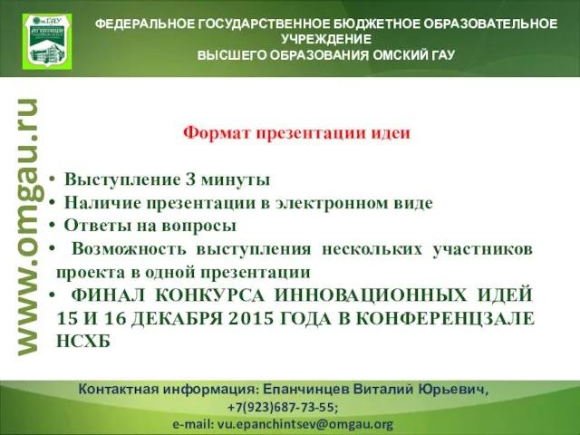 ФЕДЕРАЛЬНОЕ ГОСУДАРСТВЕННОЕ БЮДЖЕТНОЕ ОБРАЗОВАТЕЛЬНОЕ УЧРЕЖДЕНИЕ ВЫСШЕГО ОБРАЗОВАНИЯ ОМСКИЙ ГАУ Формат презентации идеи