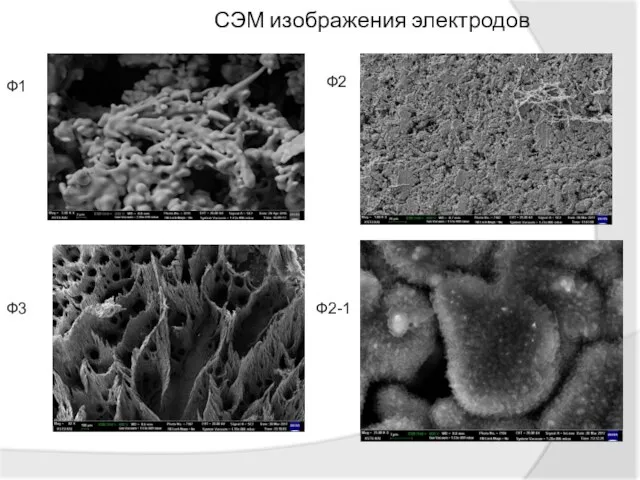 СЭМ изображения электродов Ф1 Ф3 Ф2 Ф2-1