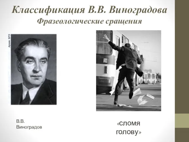 Классификация В.В. Виноградова Фразеологические сращения В.В. Виноградов «сломя голову»