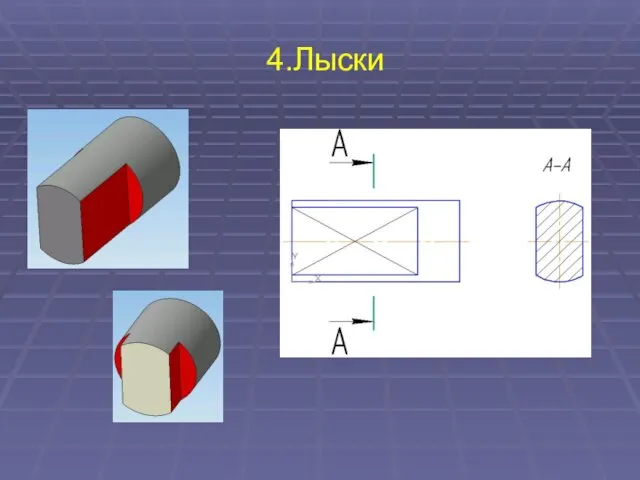 4.Лыски