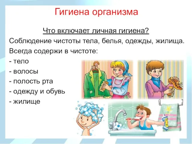 Гигиена организма Что включает личная гигиена? Соблюдение чистоты тела, белья, одежды, жилища.