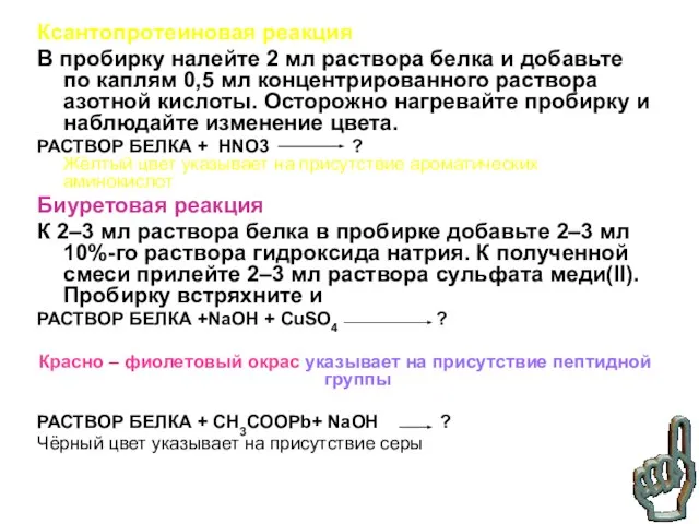 Ксантопротеиновая реакция В пробирку налейте 2 мл раствора белка и добавьте по