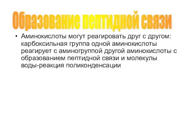 Аминокислоты могут реагировать друг с другом: карбоксильная группа одной аминокислоты реагирует с