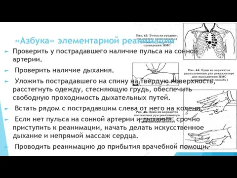 «Азбука» элементарной реанимации Проверить у пострадавшего наличие пульса на сонной артерии. Проверить