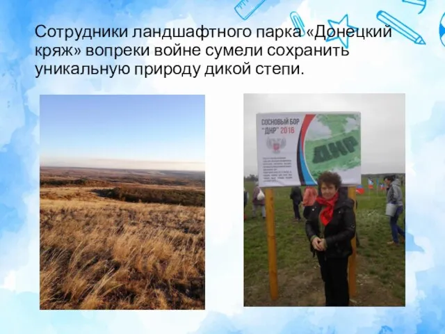 Сотрудники ландшафтного парка «Донецкий кряж» вопреки войне сумели сохранить уникальную природу дикой степи.