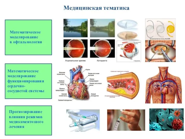 Медицинская тематика Математическое моделирование в офтальмологии Математическое моделирование функционирования сердечно- сосудистой системы