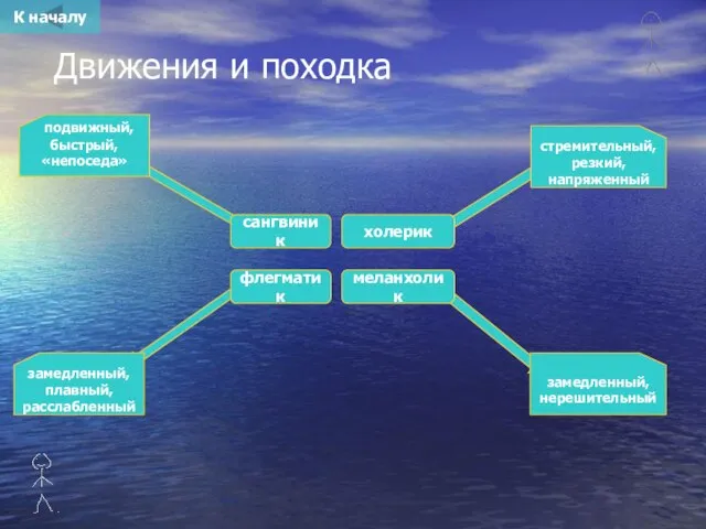 Движения и походка сангвиник холерик флегматик меланхолик стремительный, резкий, напряженный подвижный, быстрый,