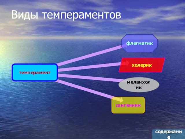 Виды темпераментов содержание темперамент флегматик меланхолик холерик сангвиник