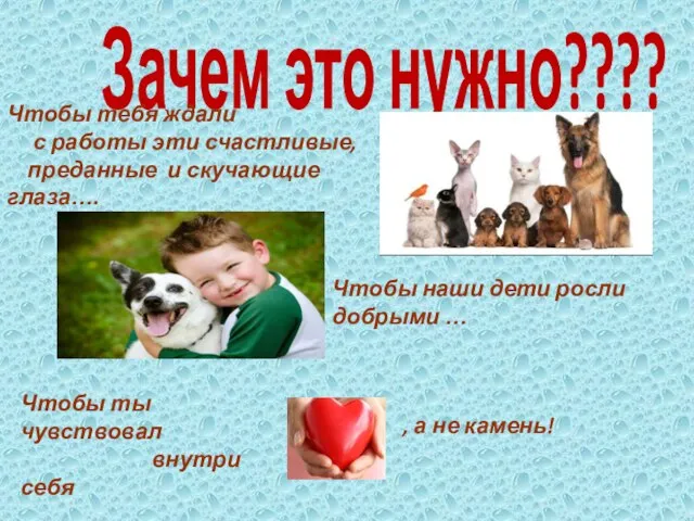 Зачем это нужно???? Чтобы тебя ждали с работы эти счастливые, преданные и