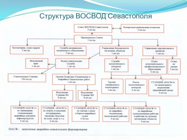 Структура ВОСВОД Севастополя