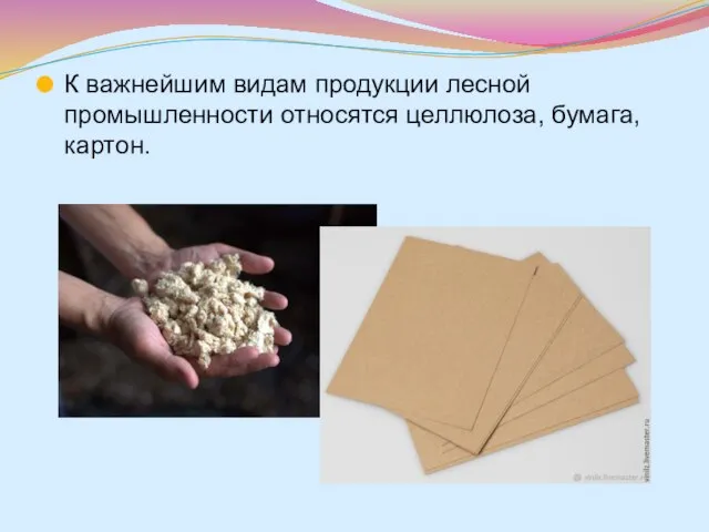 К важнейшим видам продукции лесной промышленности относятся целлюлоза, бумага, картон.