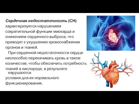 Сердечная недостаточность (СН) характеризуется нарушением сократительной функции миокарда и снижением сердечного выброса,