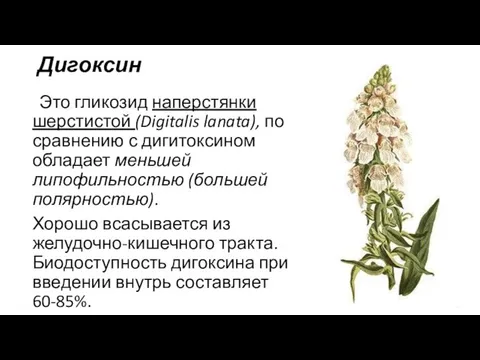 Дигоксин Это гликозид наперстянки шерстистой (Digitalis lanata), по сравнению с дигитоксином обладает