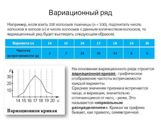 Вариационный ряд Например, если взять 100 колосьев пшеницы (n = 100), подсчитать