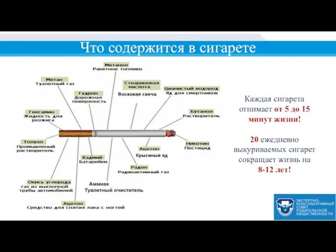 Что содержится в сигарете Каждая сигарета отнимает от 5 до 15 минут