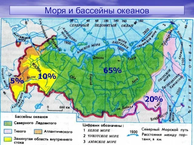 Моря и бассейны океанов 65% 20% 10% 5%