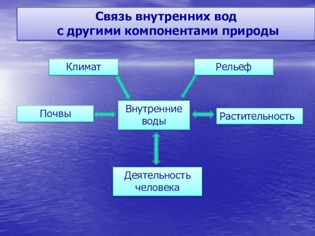 Климат Рельеф Почвы Растительность Деятельность человека Внутренние воды Связь внутренних вод с другими компонентами природы