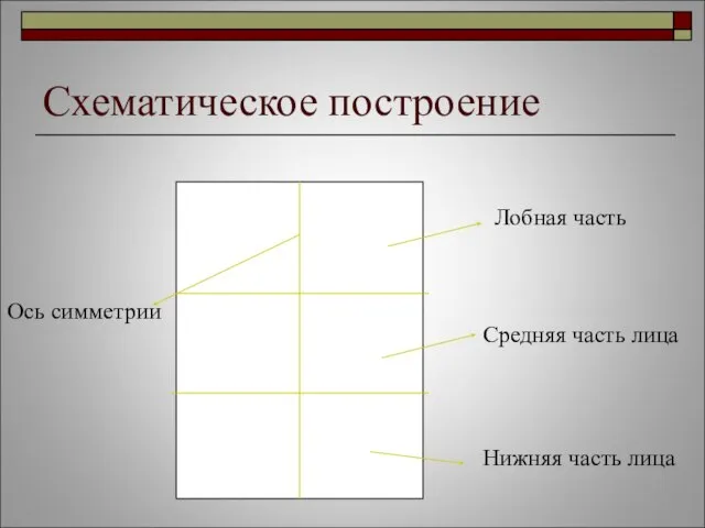 Схематическое построение Лобная часть Носовая часть Носовая часть Средняя часть лица Нижняя часть лица Ось симметрии