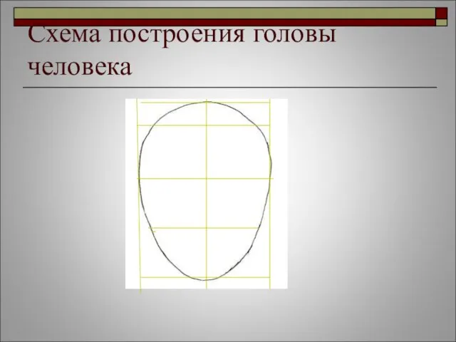 Схема построения головы человека