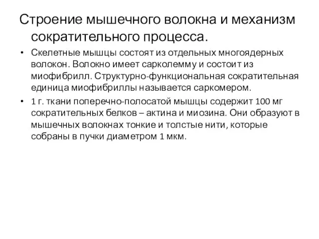 Строение мышечного волокна и механизм сократительного процесса. Скелетные мышцы состоят из отдельных