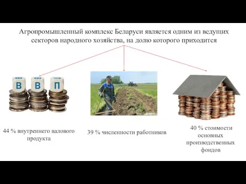 Агропромышленный комплекс Беларуси является одним из ведущих секторов народного хозяйства, на долю