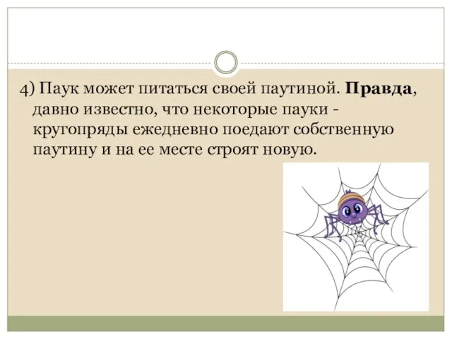 4) Паук может питаться своей паутиной. Правда, давно известно, что некоторые пауки