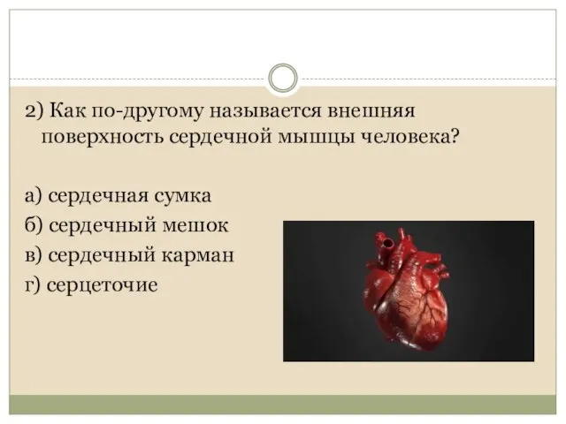 2) Как по-другому называется внешняя поверхность сердечной мышцы человека? а) сердечная сумка