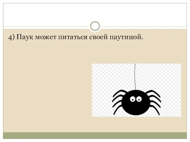 4) Паук может питаться своей паутиной.