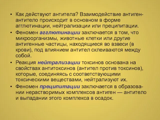 Как действуют антитела? Взаимодействие антиген-антитело происходит в основном в форме агглютинации, нейтрализации