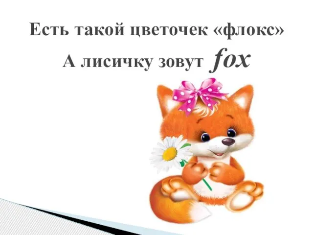 Есть такой цветочек «флокс» А лисичку зовут fox