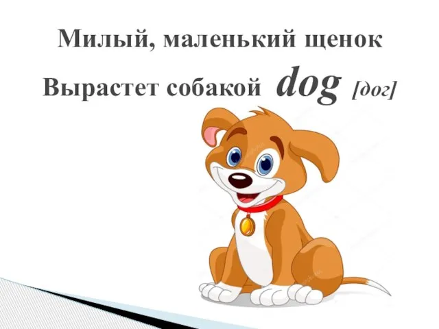 Милый, маленький щенок Вырастет собакой dog [дог]