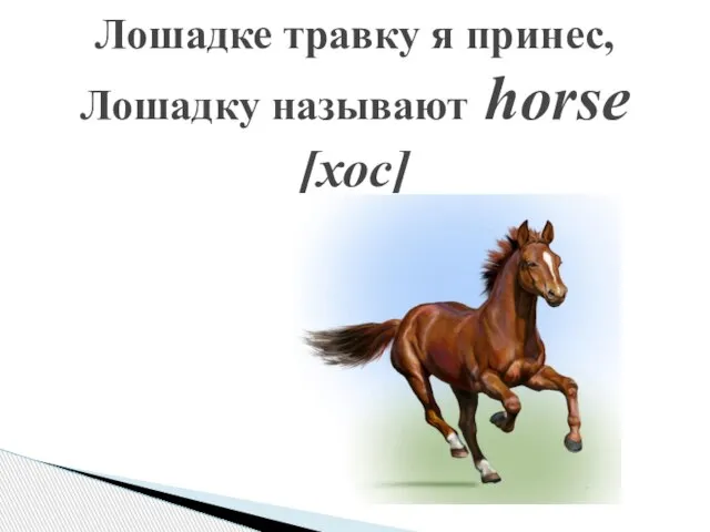 Лошадке травку я принес, Лошадку называют horse [хос]