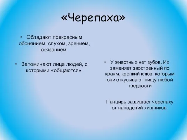 «Черепаха» Обладают прекрасным обонянием, слухом, зрением, осязанием. Запоминают лица людей, с которыми