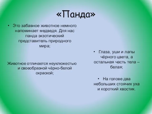 «Панда» Это забавное животное немного напоминает медведя. Для нас панда экзотический представитель