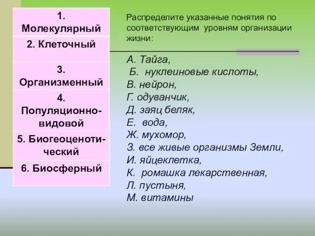 Распределите указанные понятия по соответствующим уровням организации жизни: А. Тайга, Б. нуклеиновые