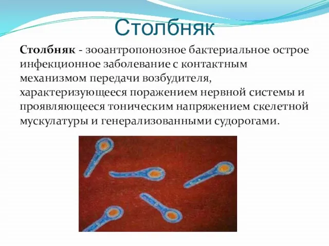Столбняк Столбняк - зооантропонозное бактериальное острое инфекционное заболевание с контактным механизмом передачи
