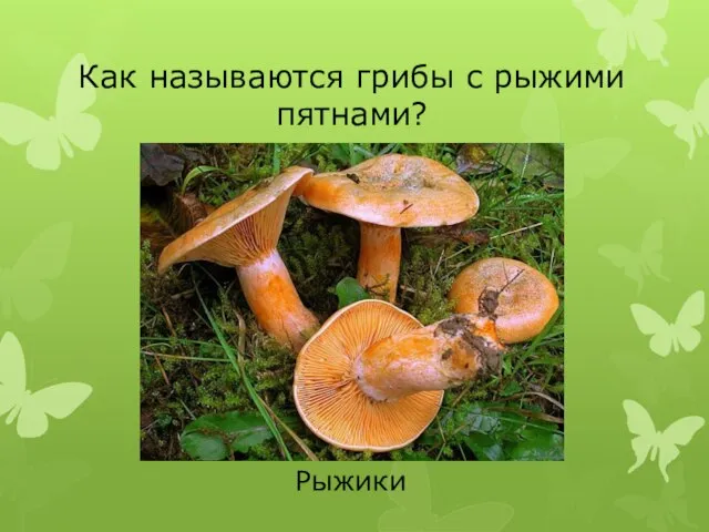 Рыжики Как называются грибы с рыжими пятнами?