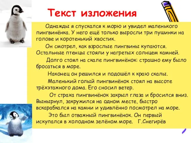 Текст изложения Однажды я спускался к морю и увидел маленького пингвинёнка. У