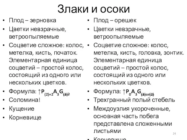 Злаки и осоки Плод – зерновка Цветки невзрачные, ветроопыляемые Соцветие сложное: колос,