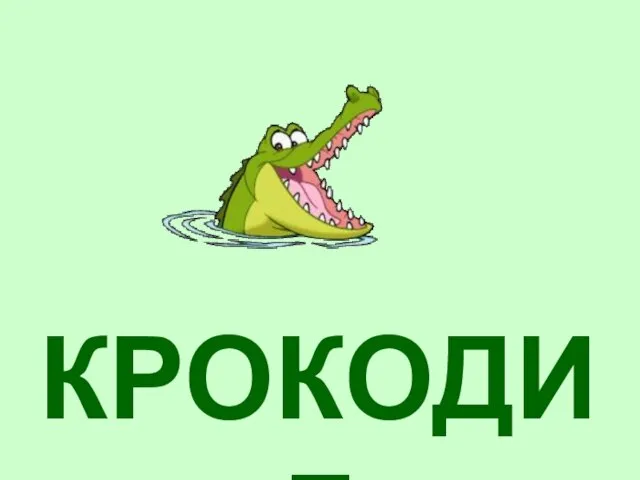 КРОКОДИЛ